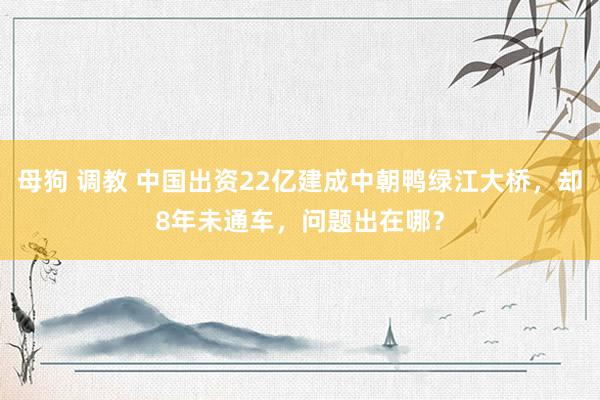 母狗 调教 中国出资22亿建成中朝鸭绿江大桥，却8年未通车，问题出在哪？