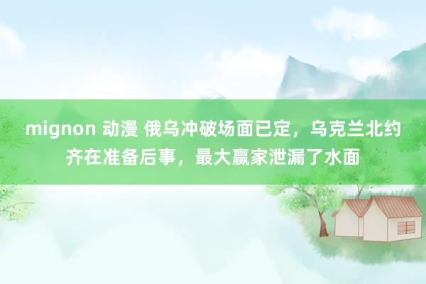 mignon 动漫 俄乌冲破场面已定，乌克兰北约齐在准备后事，最大赢家泄漏了水面