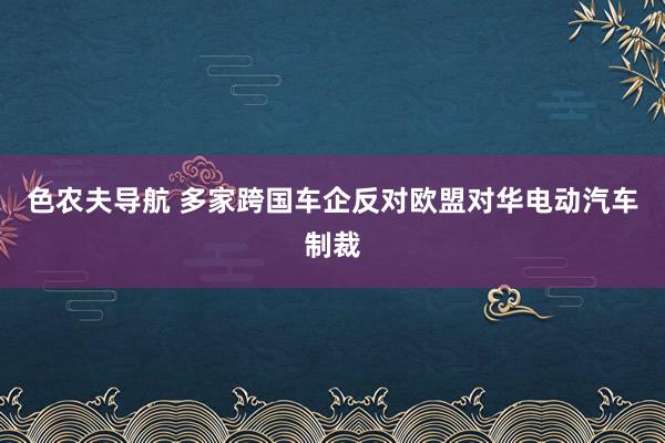 色农夫导航 多家跨国车企反对欧盟对华电动汽车制裁