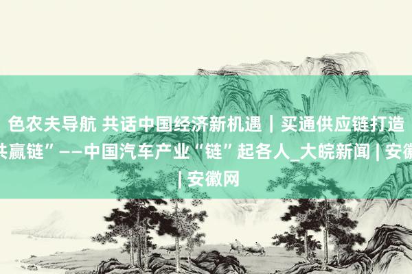 色农夫导航 共话中国经济新机遇｜买通供应链　打造“共赢链”——中国汽车产业“链”起各人_大皖新闻 | 安徽网