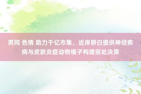 男同 色情 助力千亿市集，近岸卵白提供神经疾病与皮肤炎症动物模子构建惩处决策