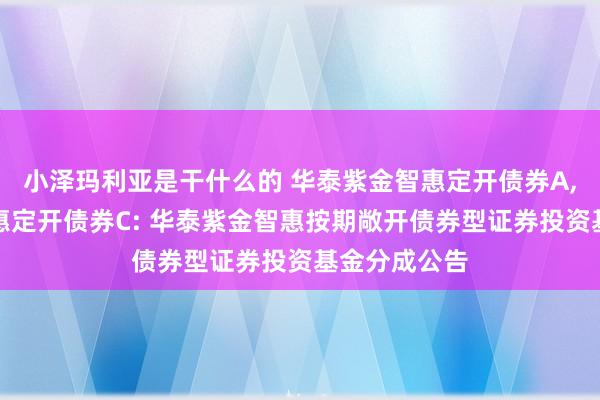 小泽玛利亚是干什么的 华泰紫金智惠定开债券A，华泰紫金智惠定开债券C: 华泰紫金智惠按期敞开债券型证券投资基金分成公告