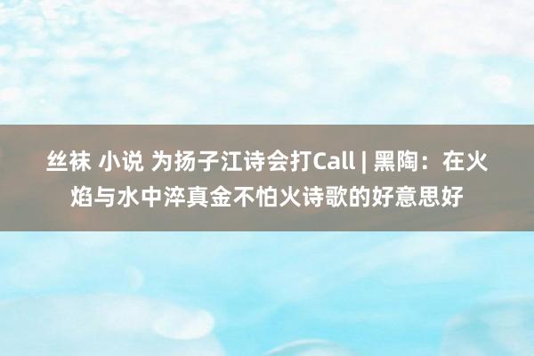 丝袜 小说 为扬子江诗会打Call | 黑陶：在火焰与水中淬真金不怕火诗歌的好意思好