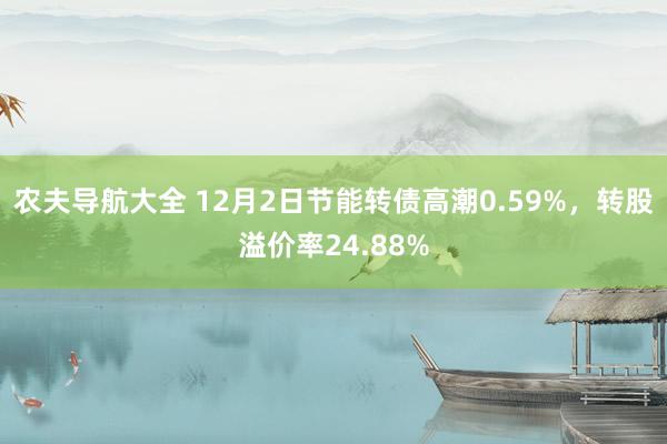 农夫导航大全 12月2日节能转债高潮0.59%，转股溢价率24.88%