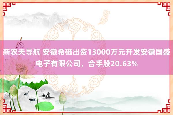 新农夫导航 安徽希磁出资13000万元开发安徽国盛电子有限公司，合手股20.63%