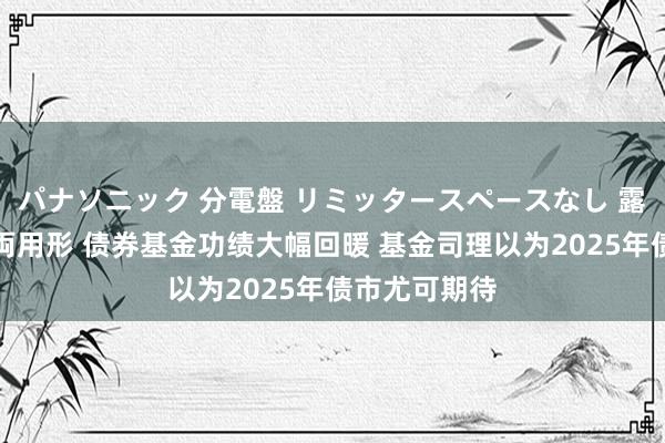 パナソニック 分電盤 リミッタースペースなし 露出・半埋込両用形 债券基金功绩大幅回暖 基金司理以为2025年债市尤可期待