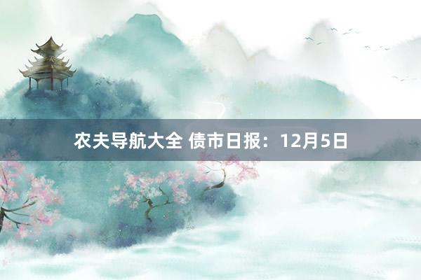 农夫导航大全 债市日报：12月5日