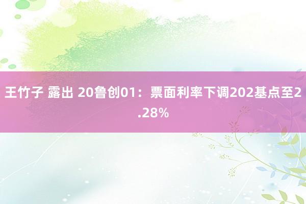 王竹子 露出 20鲁创01：票面利率下调202基点至2.28%