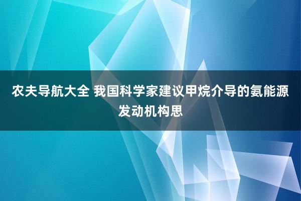 农夫导航大全 我国科学家建议甲烷介导的氨能源发动机构思