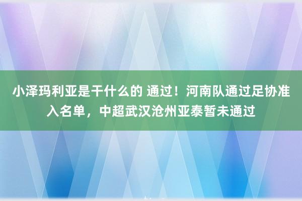 小泽玛利亚是干什么的 通过！河南队通过足协准入名单，中超武汉沧州亚泰暂未通过