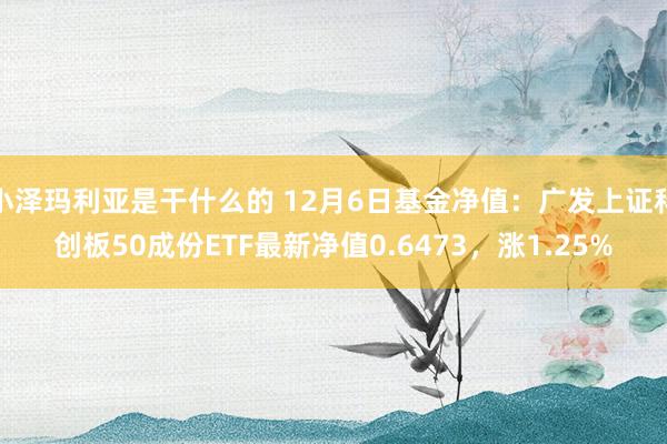 小泽玛利亚是干什么的 12月6日基金净值：广发上证科创板50成份ETF最新净值0.6473，涨1.25%