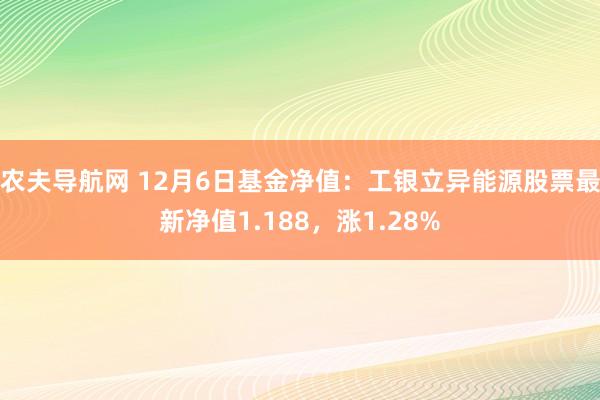 农夫导航网 12月6日基金净值：工银立异能源股票最新净值1.188，涨1.28%