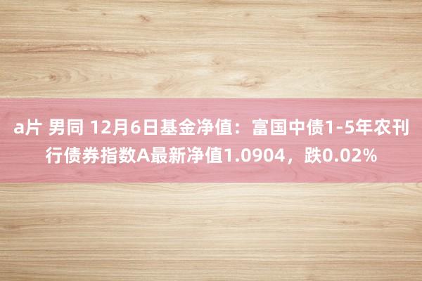 a片 男同 12月6日基金净值：富国中债1-5年农刊行债券指数A最新净值1.0904，跌0.02%