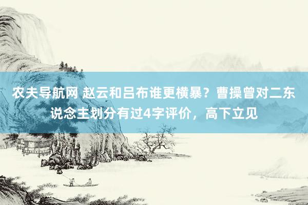 农夫导航网 赵云和吕布谁更横暴？曹操曾对二东说念主划分有过4字评价，高下立见