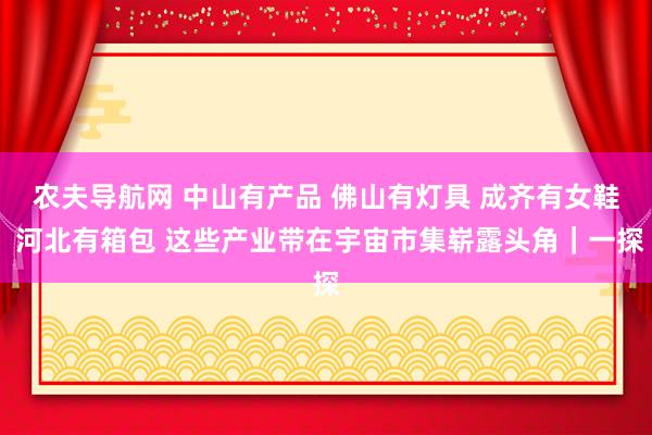 农夫导航网 中山有产品 佛山有灯具 成齐有女鞋 河北有箱包 这些产业带在宇宙市集崭露头角｜一探