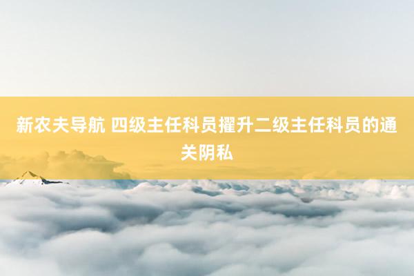 新农夫导航 四级主任科员擢升二级主任科员的通关阴私