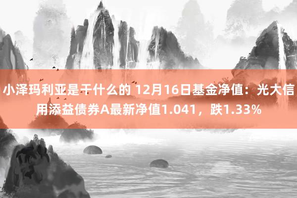 小泽玛利亚是干什么的 12月16日基金净值：光大信用添益债券A最新净值1.041，跌1.33%