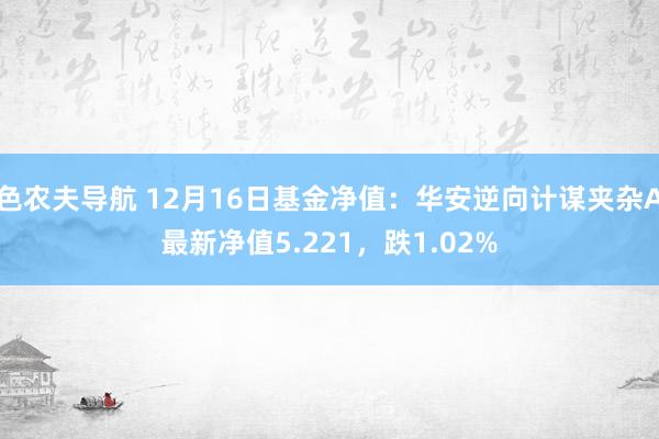 色农夫导航 12月16日基金净值：华安逆向计谋夹杂A最新净值5.221，跌1.02%