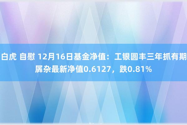 白虎 自慰 12月16日基金净值：工银圆丰三年抓有期羼杂最新净值0.6127，跌0.81%