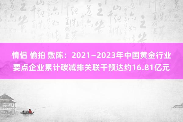 情侣 偷拍 敷陈：2021—2023年中国黄金行业要点企业累计碳减排关联干预达约16.81亿元