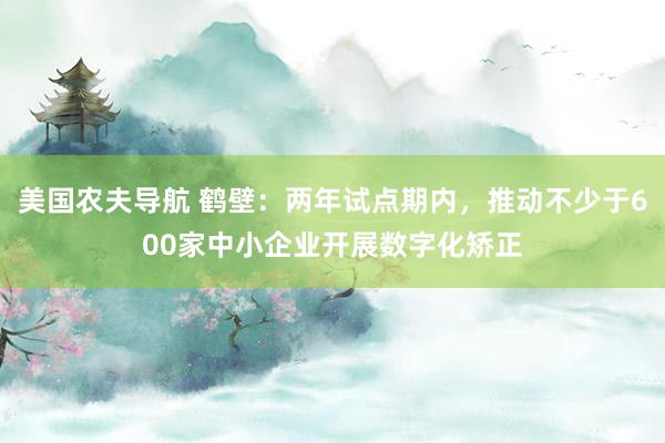 美国农夫导航 鹤壁：两年试点期内，推动不少于600家中小企业开展数字化矫正