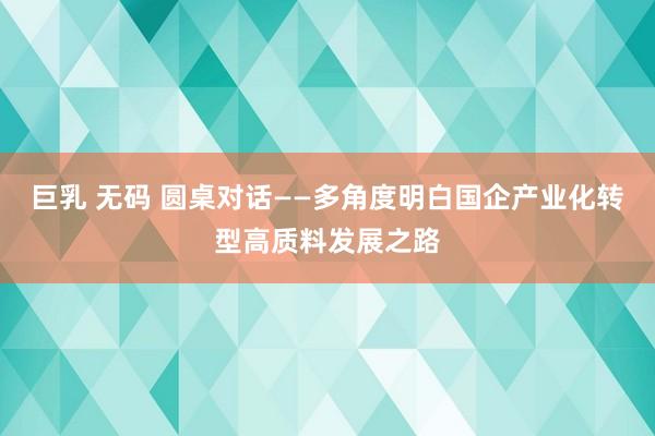 巨乳 无码 圆桌对话——多角度明白国企产业化转型高质料发展之路