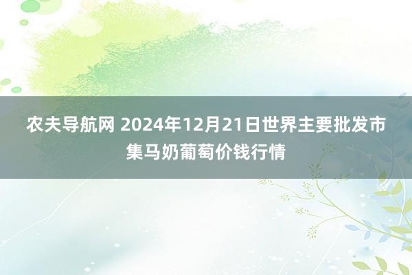 农夫导航网 2024年12月21日世界主要批发市集马奶葡萄价钱行情