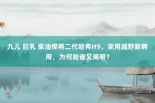 九儿 巨乳 柴油悍将二代哈弗H9，家用越野新聘用，为何能省又阐明？