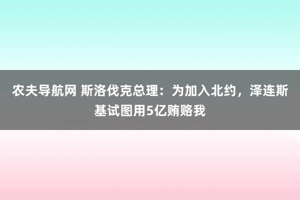 农夫导航网 斯洛伐克总理：为加入北约，泽连斯基试图用5亿贿赂我