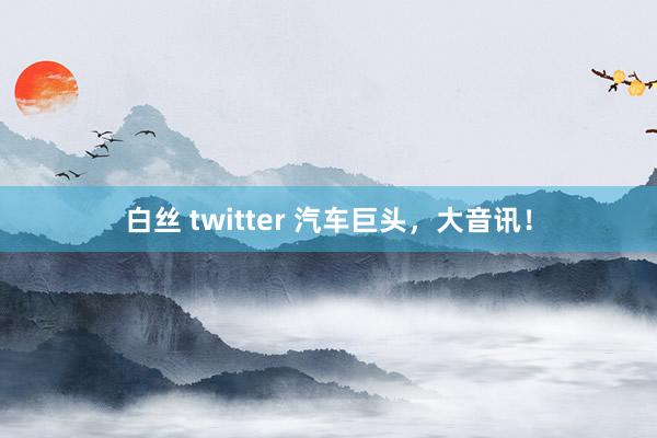 白丝 twitter 汽车巨头，大音讯！