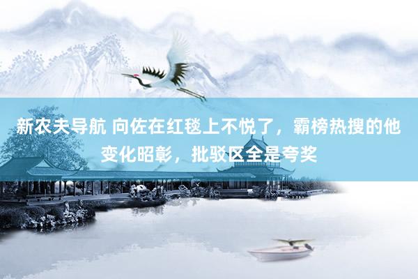 新农夫导航 向佐在红毯上不悦了，霸榜热搜的他变化昭彰，批驳区全是夸奖