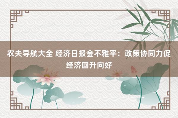 农夫导航大全 经济日报金不雅平：政策协同力促经济回升向好