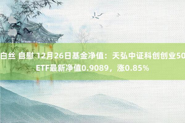 白丝 自慰 12月26日基金净值：天弘中证科创创业50ETF最新净值0.9089，涨0.85%