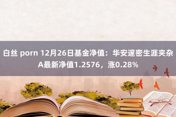 白丝 porn 12月26日基金净值：华安邃密生涯夹杂A最新净值1.2576，涨0.28%