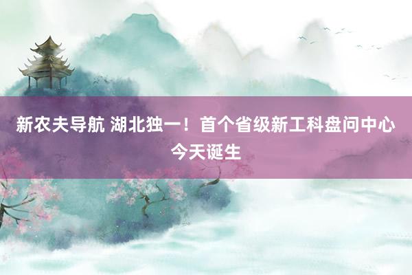 新农夫导航 湖北独一！首个省级新工科盘问中心今天诞生