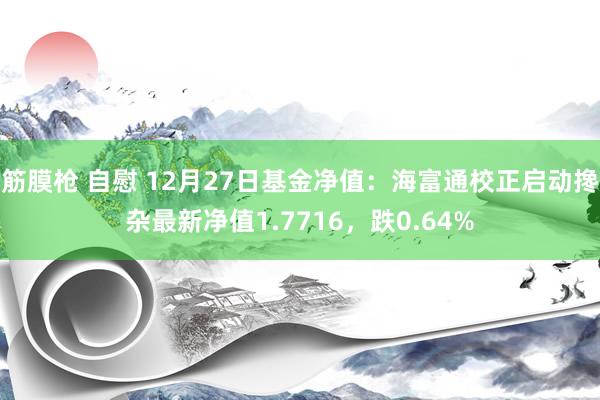 筋膜枪 自慰 12月27日基金净值：海富通校正启动搀杂最新净值1.7716，跌0.64%