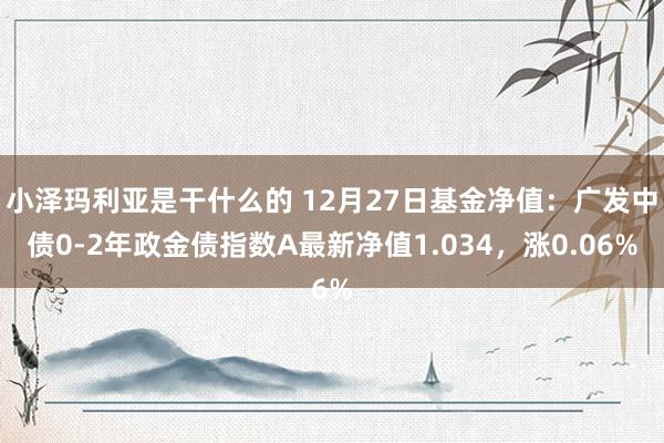 小泽玛利亚是干什么的 12月27日基金净值：广发中债0-2年政金债指数A最新净值1.034，涨0.06%