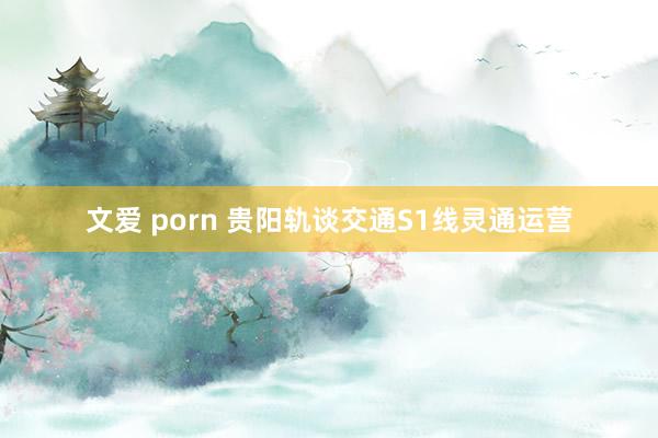 文爱 porn 贵阳轨谈交通S1线灵通运营