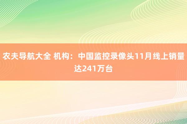 农夫导航大全 机构：中国监控录像头11月线上销量达241万台