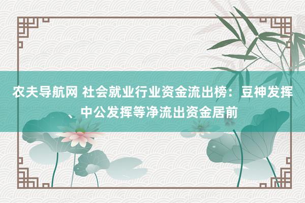 农夫导航网 社会就业行业资金流出榜：豆神发挥、中公发挥等净流出资金居前