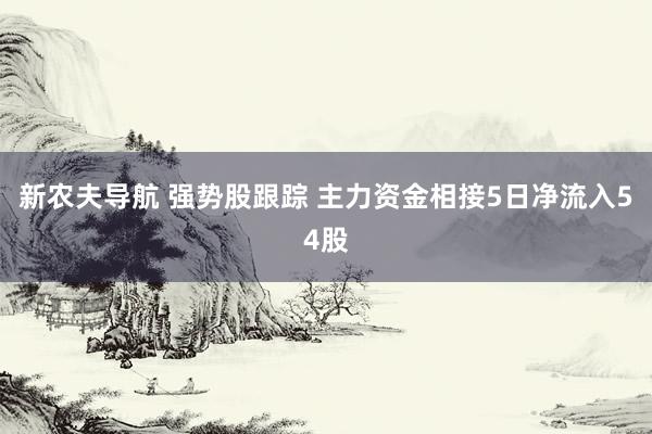 新农夫导航 强势股跟踪 主力资金相接5日净流入54股