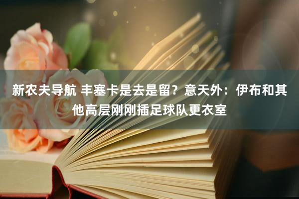 新农夫导航 丰塞卡是去是留？意天外：伊布和其他高层刚刚插足球队更衣室