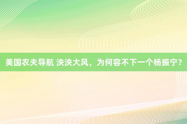 美国农夫导航 泱泱大风，为何容不下一个杨振宁？