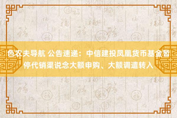 色农夫导航 公告速递：中信建投凤凰货币基金暂停代销渠说念大额申购、大额调遣转入