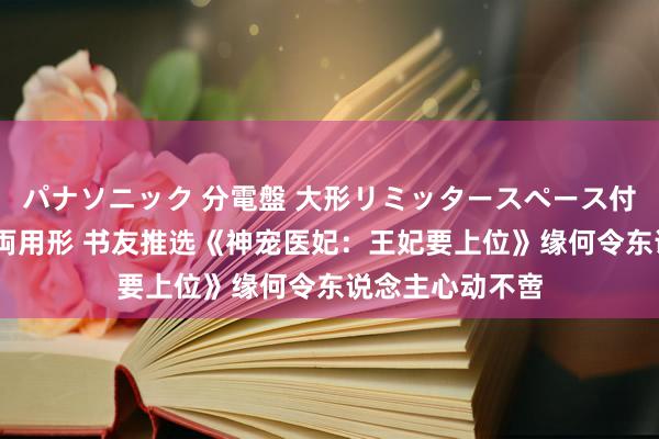 パナソニック 分電盤 大形リミッタースペース付 露出・半埋込両用形 书友推选《神宠医妃：王妃要上位》缘何令东说念主心动不啻