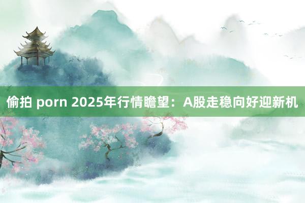 偷拍 porn 2025年行情瞻望：A股走稳向好迎新机