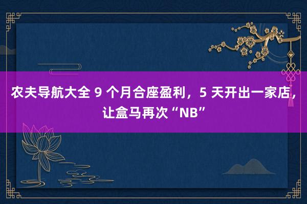 农夫导航大全 9 个月合座盈利，5 天开出一家店，让盒马再次“NB”