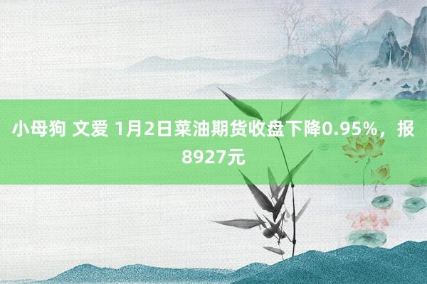 小母狗 文爱 1月2日菜油期货收盘下降0.95%，报8927元