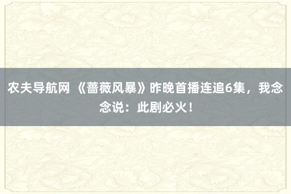 农夫导航网 《蔷薇风暴》昨晚首播连追6集，我念念说：此剧必火！