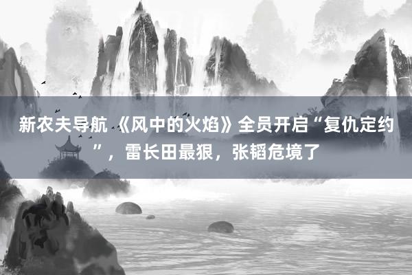 新农夫导航 《风中的火焰》全员开启“复仇定约”，雷长田最狠，张韬危境了